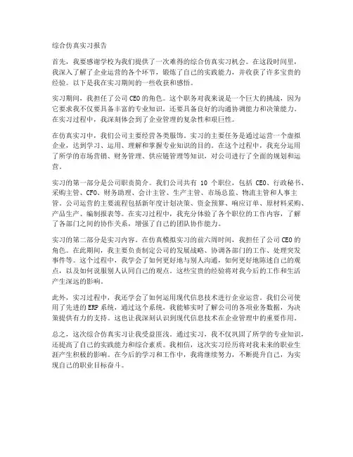 综合仿真实习报告