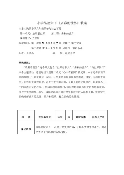 南荒小学王孝真六年级品社《多彩的世界》教案