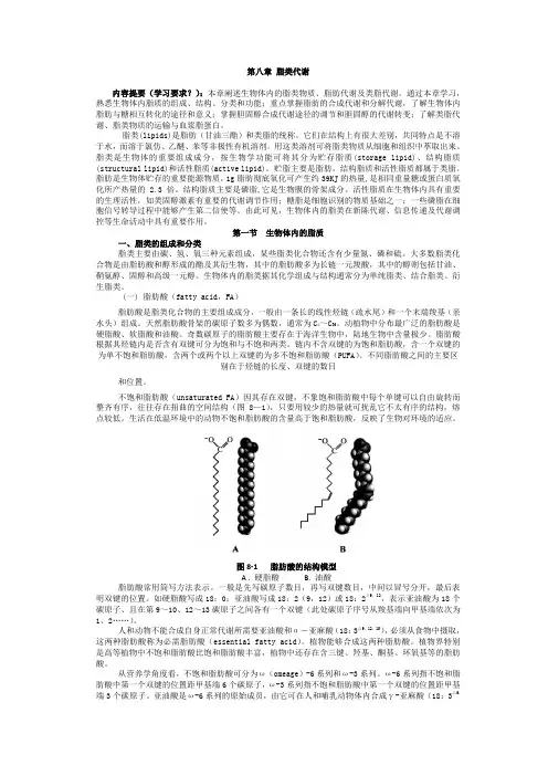 脂类代谢