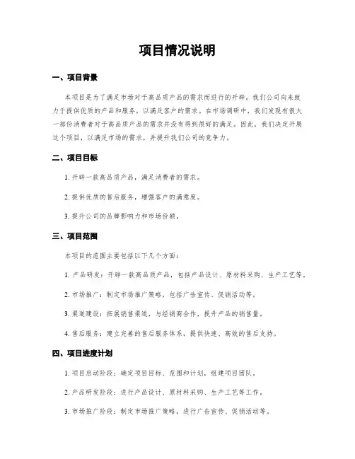项目情况说明