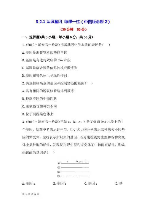 3.2.1认识基因 每课一练(中图版必修2) (1)