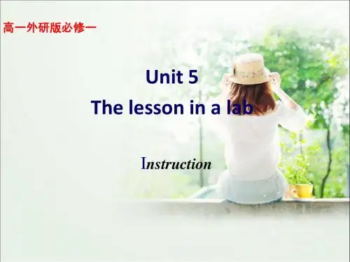 【英语】123 Module 5 Section One Introduction & Reading and Vocabulary 课件1(外研版必修1)