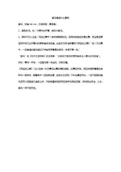黑马是指什么意思