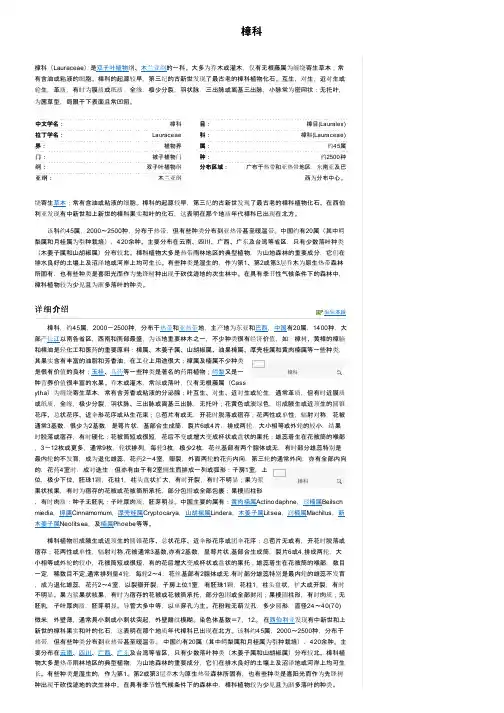 樟科——精选推荐