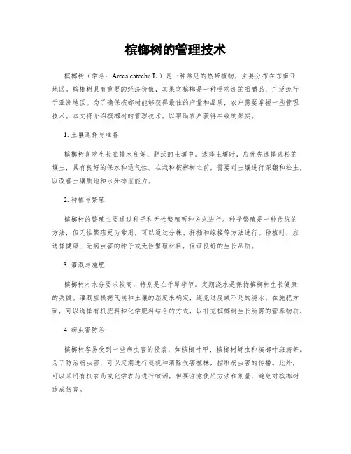 槟榔树的管理技术