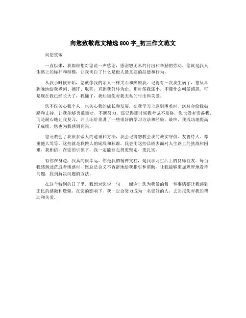 向您致敬范文精选800字_初三作文范文