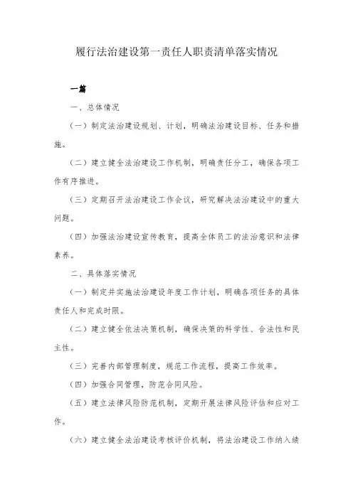 履行法治建设第一责任人职责清单落实情况