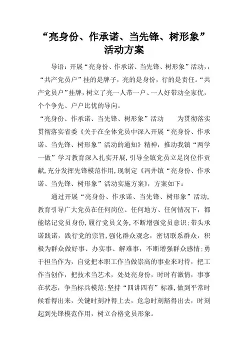 “亮身份、作承诺、当先锋、树形象”活动方案