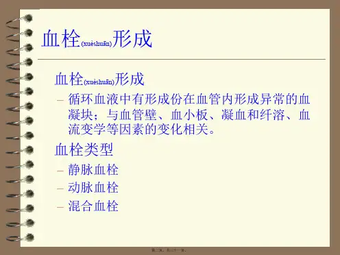 医学专题动脉血栓PPT