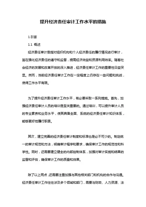 提升经济责任审计工作水平的措施