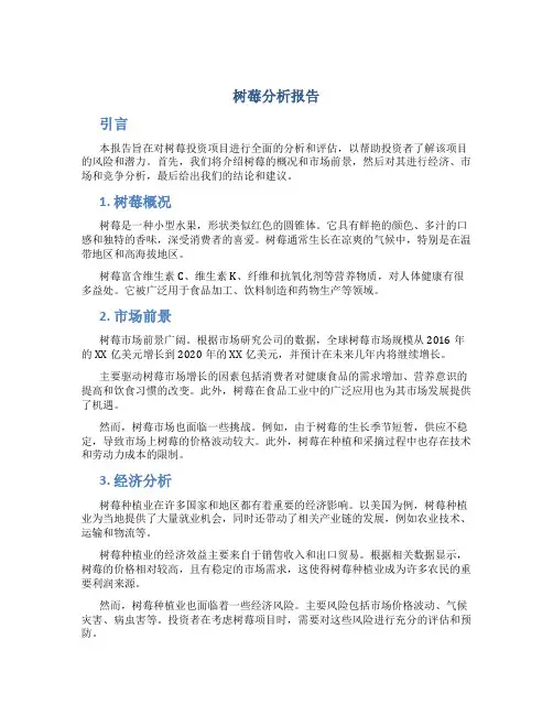 树莓分析报告