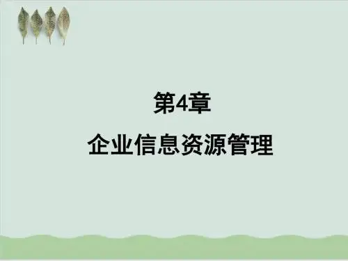 企业信息资源管理发展分析PPT课件( 58页)