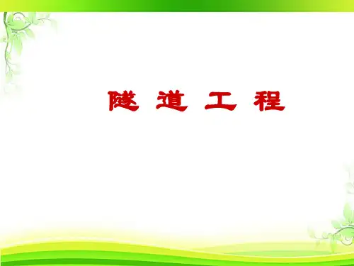 隧道工程--洞门与明洞  ppt课件