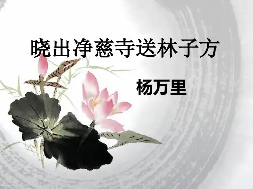 诗词三首 晓出净慈寺送林子方》