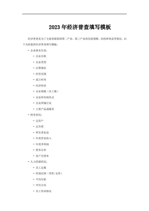 2023年经济普查填写模板