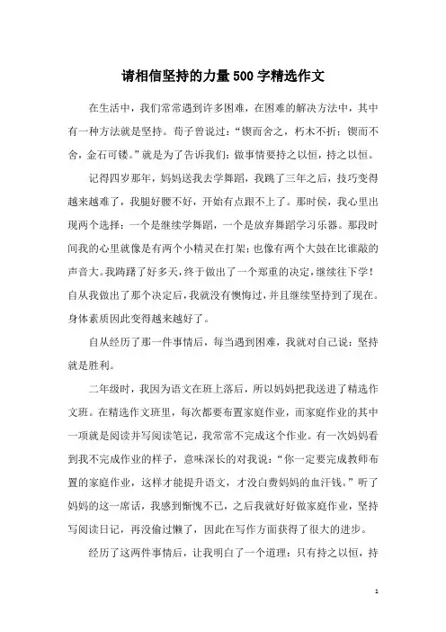 请相信坚持的力量500字精选作文