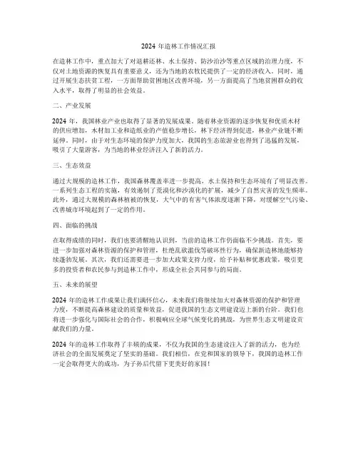 2024年造林工作情况汇报
