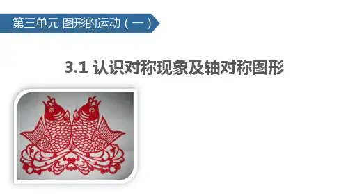 《认识对称现象及轴对称图形》图形的运动PPT