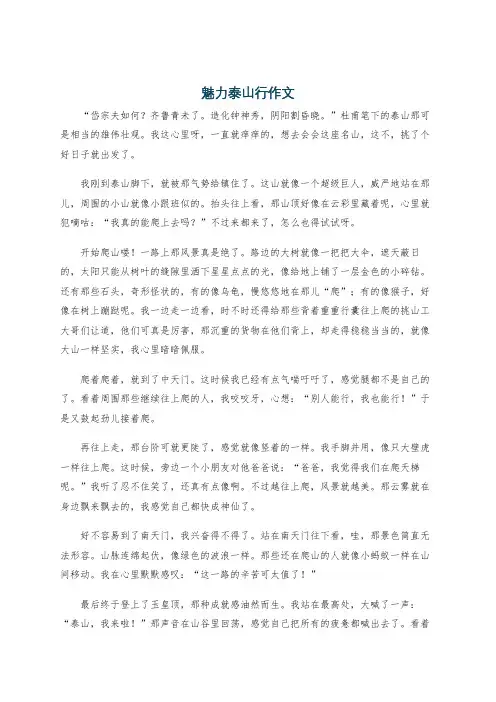 魅力泰山行作文