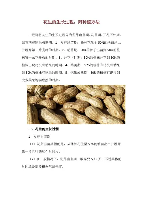 花生的生长过程,附种植方法