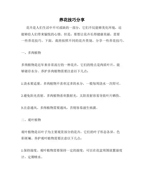 养花技巧分享