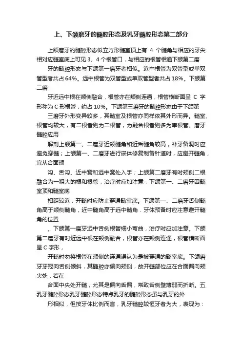 上、下颌磨牙的髓腔形态及乳牙髓腔形态第二部分