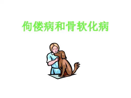 犬猫常见营养代谢性疾病