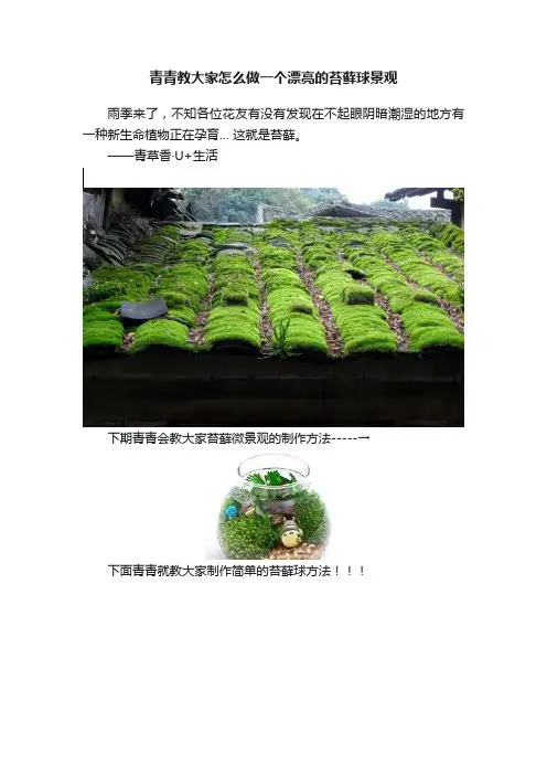 青青教大家怎么做一个漂亮的苔藓球景观