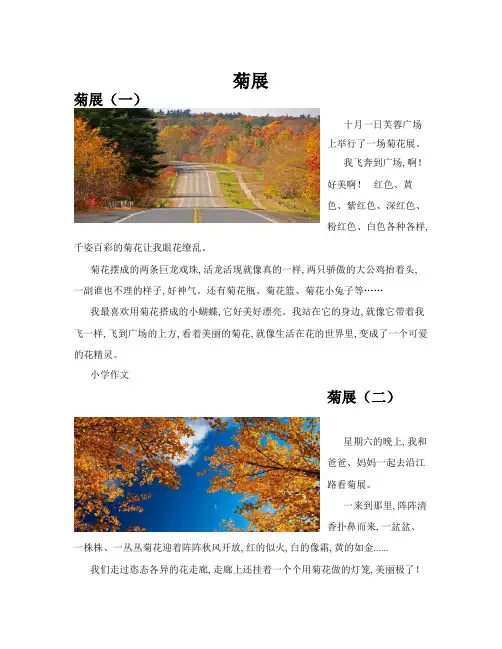 菊展(共10篇)
