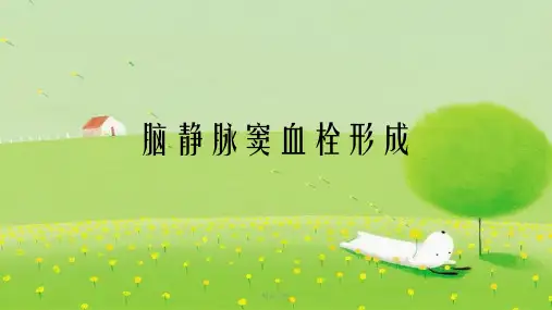 脑静脉窦血栓形成幻灯片PPT