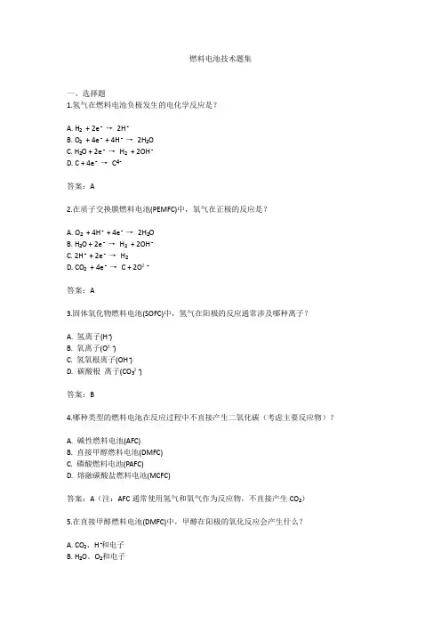 燃料电池技术题集