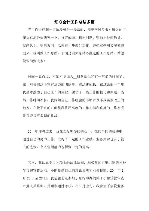 2020年细心会计工作总结多篇