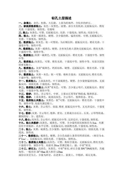 地层描述【范本模板】