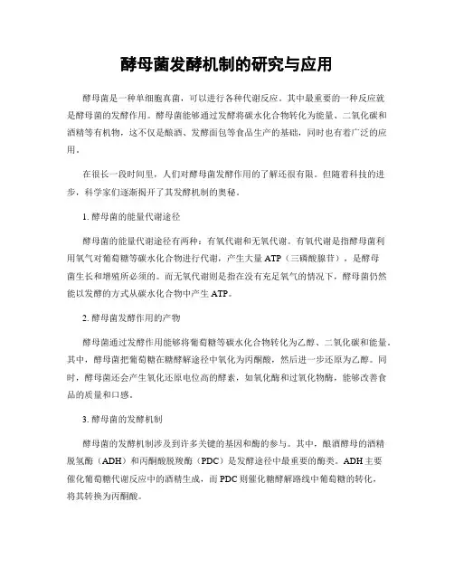 酵母菌发酵机制的研究与应用