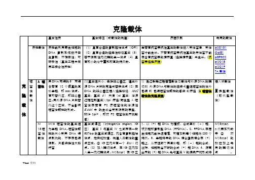 克隆载体与表达载体