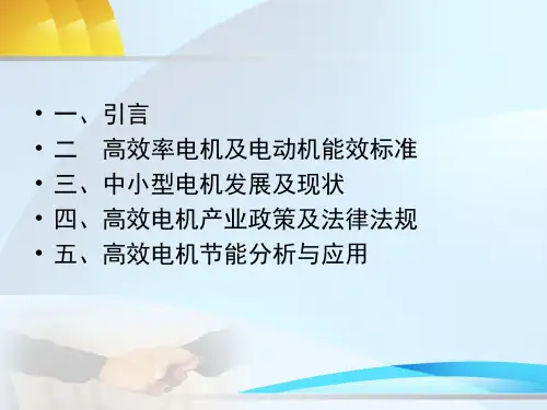 高效率电机及电动机能效标准