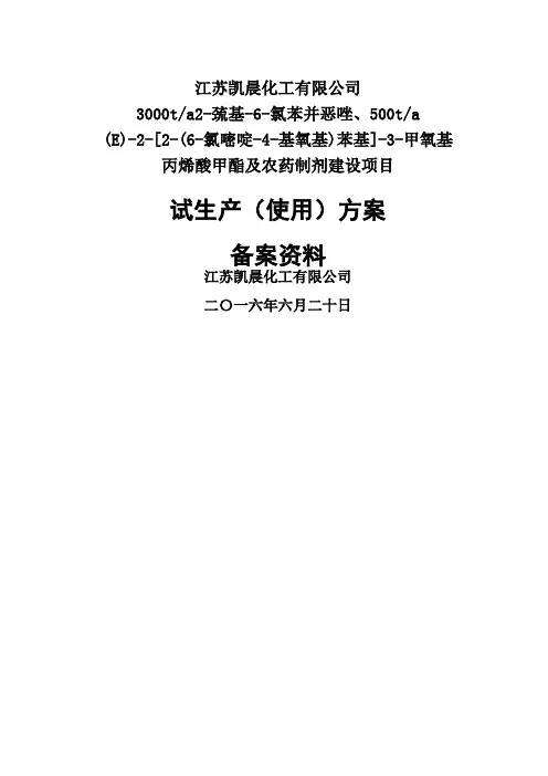 化工项目试生产方案