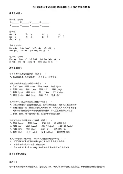 河北省唐山市路北区2024部编版小升初语文备考精选