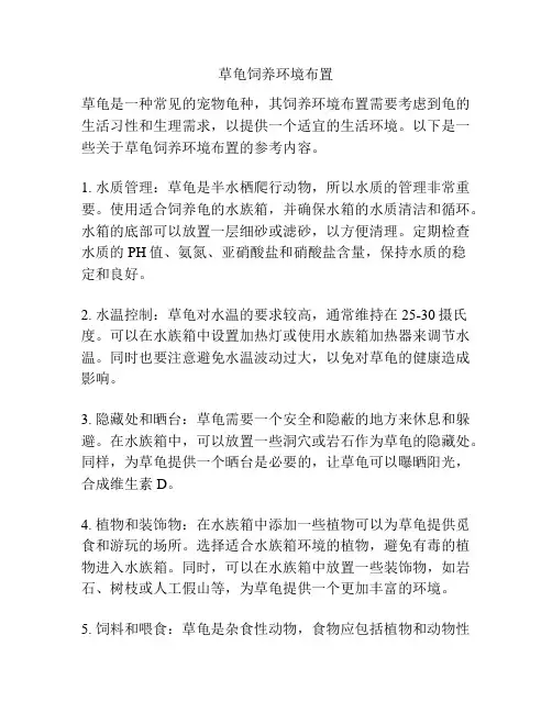 草龟饲养环境布置
