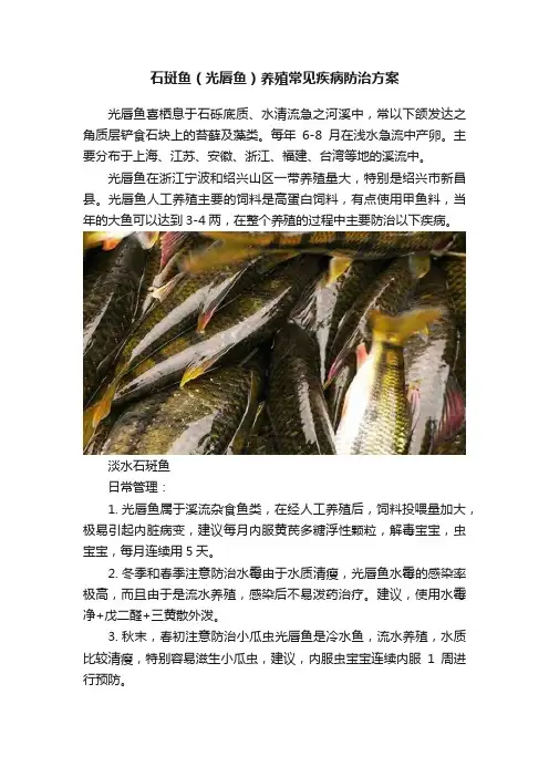 石斑鱼（光唇鱼）养殖常见疾病防治方案