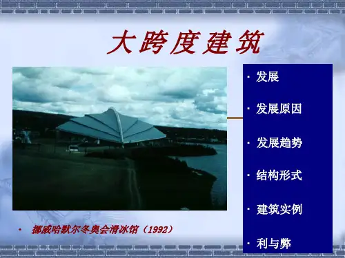 大跨度建筑