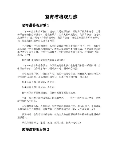 怒海潜将观后感