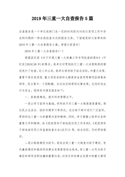 2019年三重一大自查报告5篇