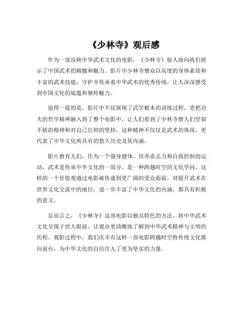 《少林寺》观后感