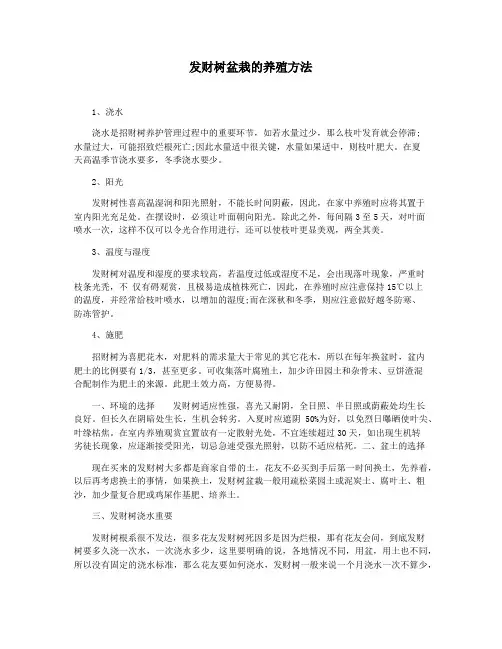 发财树盆栽的养殖方法