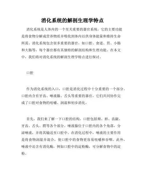 消化系统的解剖生理学特点