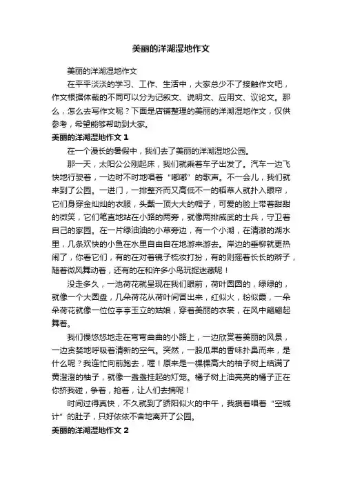 美丽的洋湖湿地作文