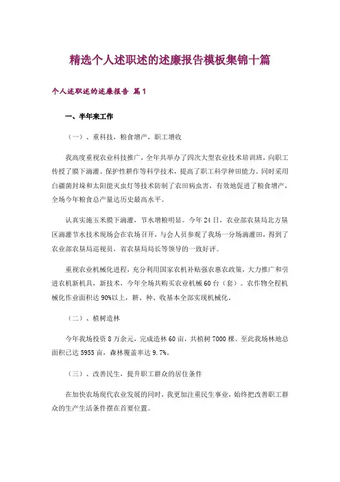 精选个人述职述的述廉报告模板集锦十篇