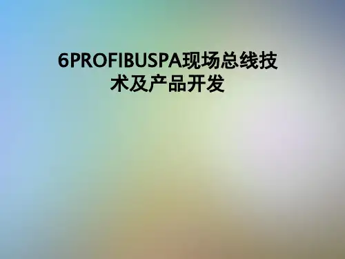 6PROFIBUSPA现场总线技术及产品开发