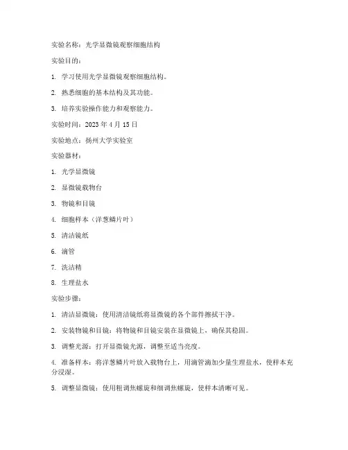 扬大实验报告